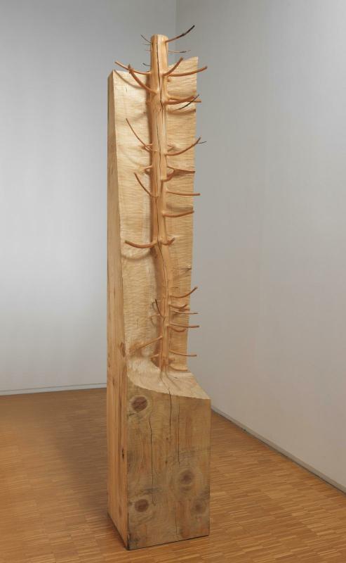 Giuseppe Penone, Nel legno
(Dans le bois) 2009 