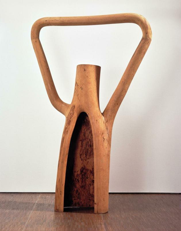 Frans Krajcberg, Fragment écologique n° 5 1973 - 1974 