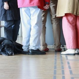 Visites adaptées groupes scolaires