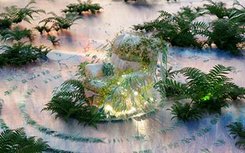 Visuel paysage