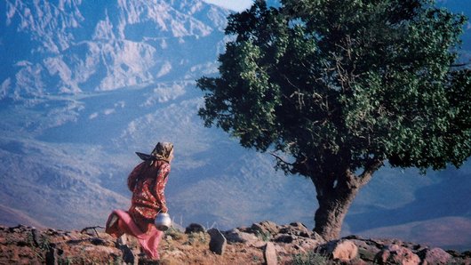 Exposición, retrospectiva "¿Dónde está Kiarostami?" - poster