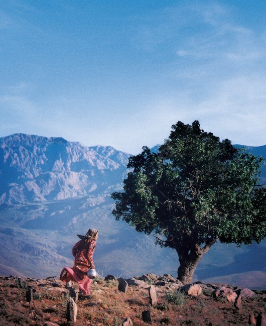 Rétrospective, exposition "Abbas Kiarostami" - affiche