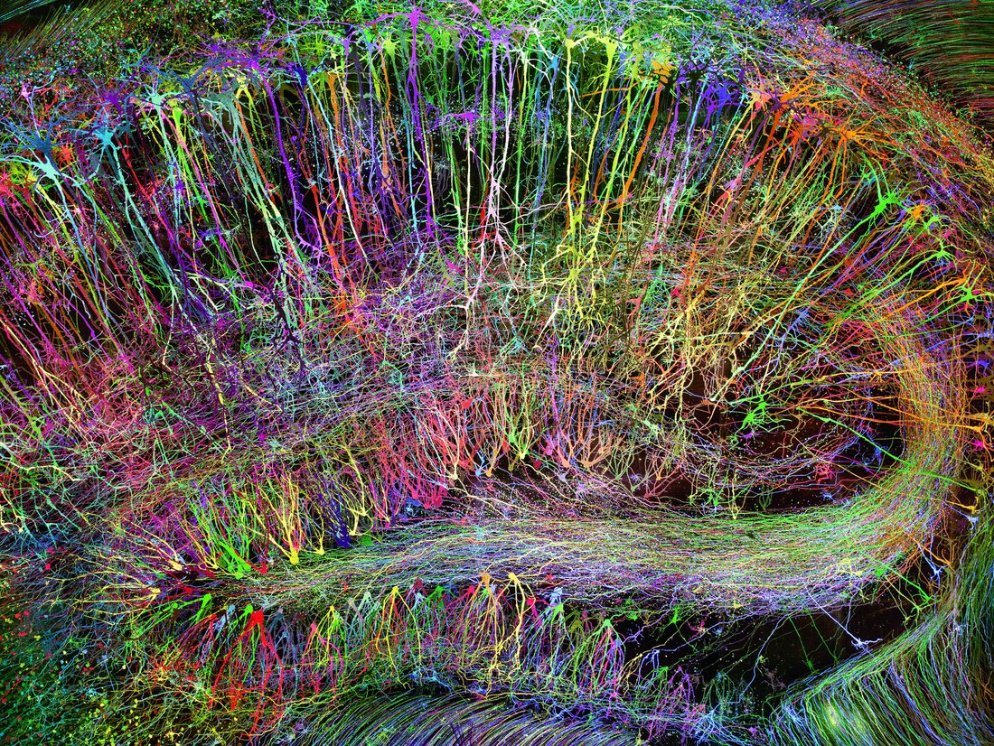 Greg Dunn, "Brainbow Hippocampus in color", 2014