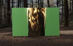 Visuel paysage