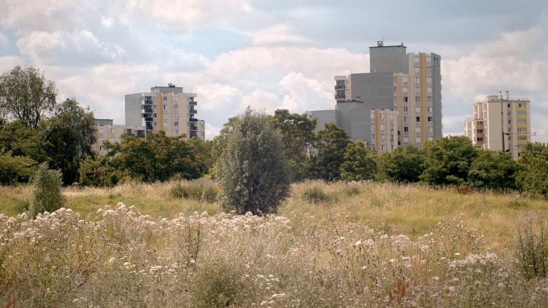 Cycle "La Cinémathèque idéale des banlieues du monde" - screenshot Alice Diop