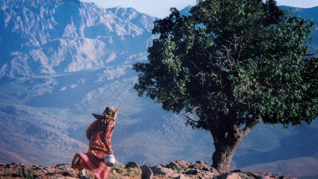 Rétrospective, exposition "Abbas Kiarostami" - affiche