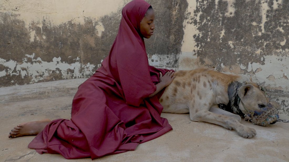 « Almajir » de Native Maqari et Simon Rouby