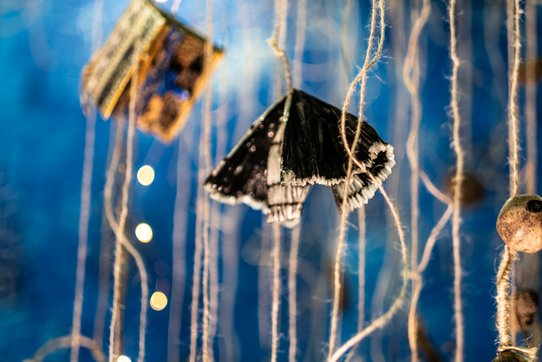 Dans cette vue rapprochée d’un détail de l’œuvre de Valérie John, plusieurs objets sont suspendus à des cordes de chanvre, créant un rideau aérien chargé de symboles. Un papillon noir aux bords blancs, peut-être artificiel ou naturalisé, attire immédiatement le regard par son positionnement central et sa texture délicate, presque fragile. À l’arrière-plan, un fragment de livre aux couleurs vibrantes, partiellement ouvert, laisse entrevoir une trace d’écriture, évoquant la mémoire et les récits interrompus. Le fond, un bleu indigo saturé, caractéristique du travail de l’artiste, est ponctué de petites lumières jaunes floues, semblables à des lucioles. Cette mise en scène suspend le temps : les fils tendus deviennent vecteurs de mémoire, reliant symboliquement des éléments du passé colonial, des savoirs oubliés, des présences invisibles. Cette partie de l’installation SECRET(S)... RÊVES DE PAYS... FABRIQUE À MÉMOIRE(S)... PALIMPSESTE... agit comme un sanctuaire suspendu, une constellation d’indices sensibles où chaque objet est un fragment d’histoire personnelle et collective.