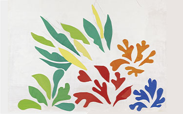 Guided Visit: Matisse, 1941-1954