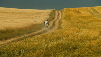 Visuel paysage
