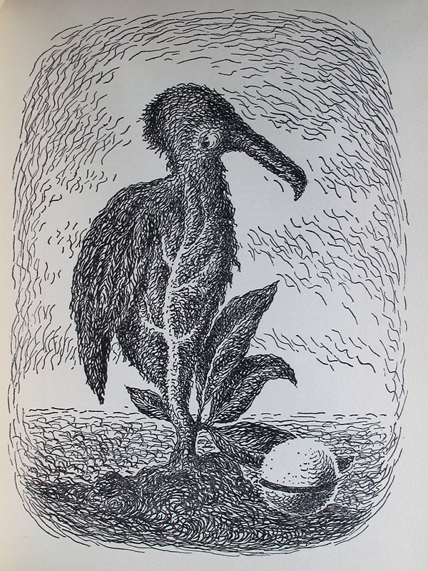 Illustration tirée des « Chants de Maldoror », de Lautréamont, illustrés par René Magrite, 1948