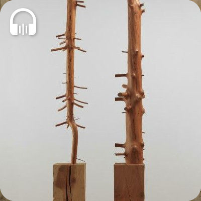 Podcasts "Art et écologie" : oeuvre de Giuseppe Penone (détail)