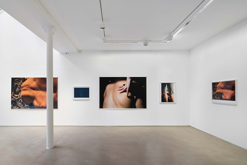 Wolfgang Tillmans, Lumière du matin, Galerie Chantal Crousel, 2021
