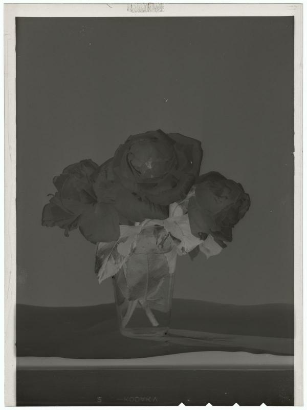 Etude florale [Roses] - Centre Pompidou