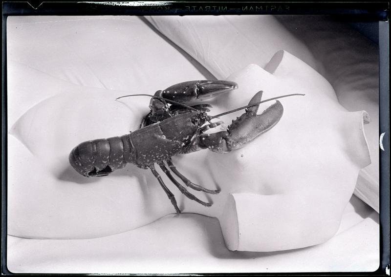 Homard - Centre Pompidou