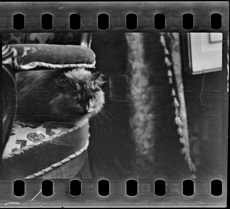 L Homme Photographie De Plateau Centre Pompidou