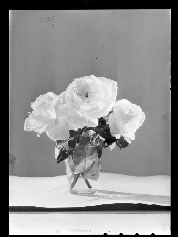 Etude florale [Roses] - Centre Pompidou
