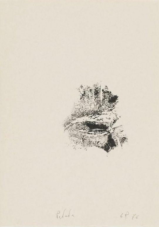 Giuseppe Penone, « Patate »), 1976, mine graphite et encre de Chine sur papier, 29,5 x 21 cm© Centre Pompidou / Photo : C. Laulanne / Dist. Rmn-Gp